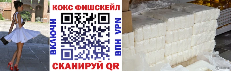 где купить наркоту  Жирновск  Cocaine Fish Scale 