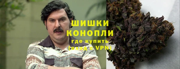 индика Белокуриха