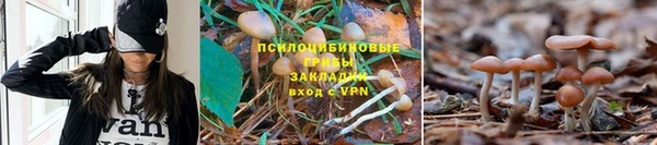 винт Баксан