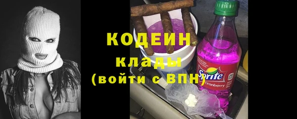 индика Белокуриха